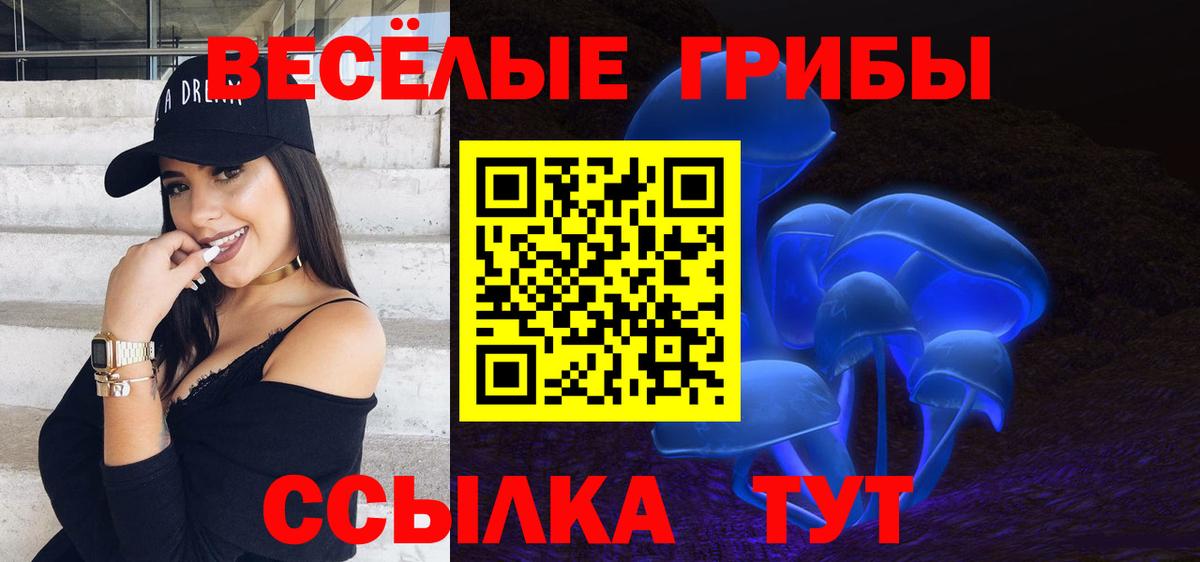 Великий Устюг  Галлюциногенные грибы Psilocybe  наркотики  Вход с VPN  Галлюциногенные грибы мухоморы 