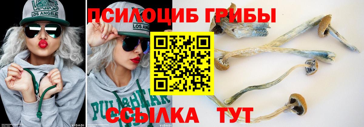 Галлюциногенные грибы GOLDEN TEACHER Великий Устюг